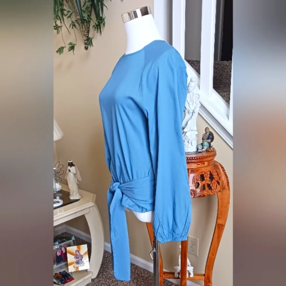 Citrus Apparel Blue Balloon Sleeve Blouse Medium NWT - Picture 3 of 15